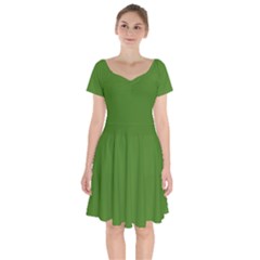 Light Seaweed Green	 - 	short Sleeve Bardot Dress