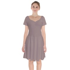 Cinereous	 - 	short Sleeve Bardot Dress