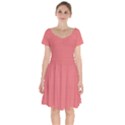 Light Coral	 - 	Short Sleeve Bardot Dress View1