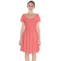 Coral Essence	 - 	Short Sleeve Bardot Dress View1