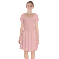 Peach Bud	 - 	short Sleeve Bardot Dress