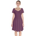 Wine Dregs	 - 	Short Sleeve Bardot Dress View1