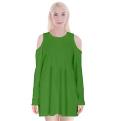 Medium Spring Green	 - 	velvet Long Sleeve Shoulder Cutout Dress by ColorfulDresses