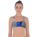 Peacock Bird Animal Feather Nature Colorful Got No Strings Sports Bra View1