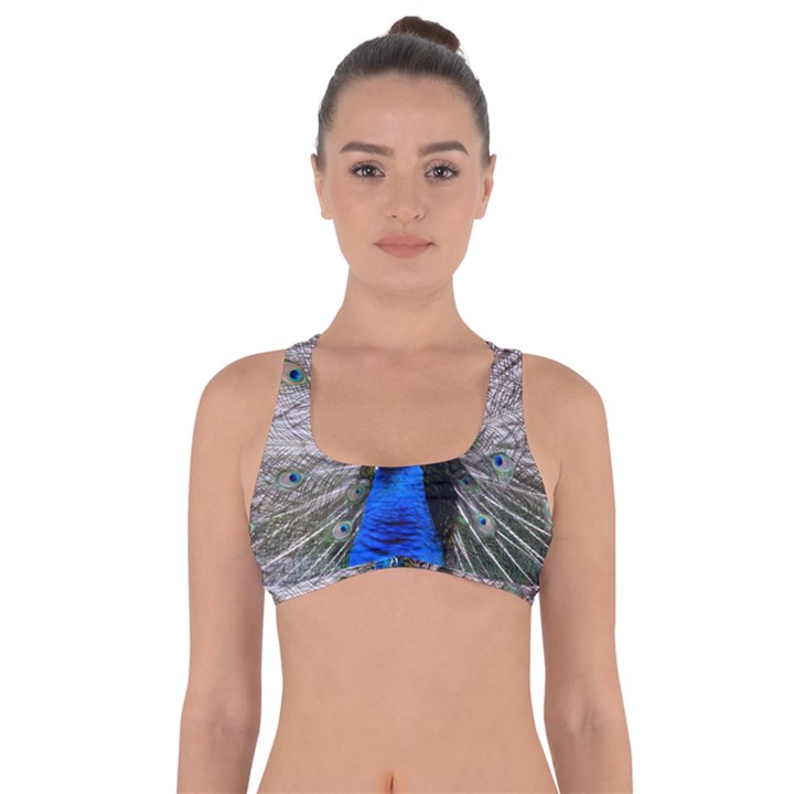 Peacock Bird Animal Feather Nature Colorful Got No Strings Sports Bra