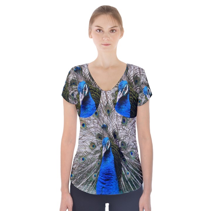 Peacock Bird Animal Feather Nature Colorful Short Sleeve Front Detail Top