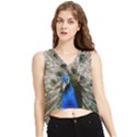 Peacock Bird Animal Feather Nature Colorful V-Neck Cropped Tank Top View1