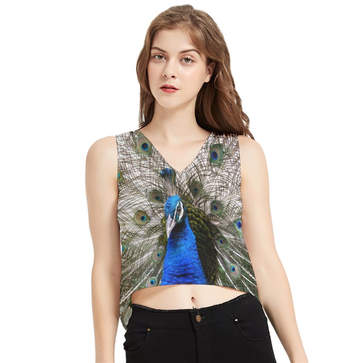 Peacock Bird Animal Feather Nature Colorful V-Neck Cropped Tank Top