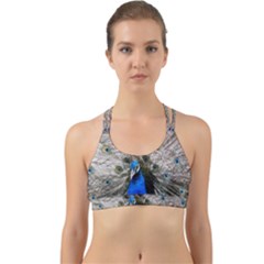 Peacock Bird Animal Feather Nature Colorful Back Web Sports Bra by Ravend