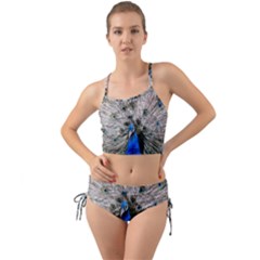 Peacock Bird Animal Feather Nature Colorful Mini Tank Bikini Set by Ravend