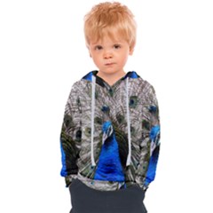 Peacock Bird Animal Feather Nature Colorful Kids  Overhead Hoodie by Ravend