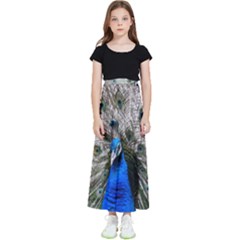 Peacock Bird Animal Feather Nature Colorful Kids  Flared Maxi Skirt by Ravend