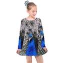 Peacock Bird Animal Feather Nature Colorful Kids  Long Sleeve Dress View1