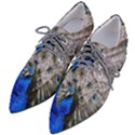 Peacock Bird Animal Feather Nature Colorful Pointed Oxford Shoes View2