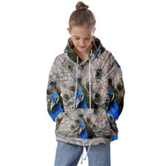 Peacock Bird Animal Feather Nature Colorful Kids  Oversized Hoodie