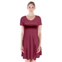 Rhubarb Red	 - 	Short Sleeve V-neck Flare Dress View1