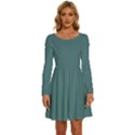 Beetle Green	 - 	Long Sleeve Wide Neck Velvet Dress View1