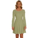 Weeping Willow Green	 - 	Long Sleeve Wide Neck Velvet Dress View1