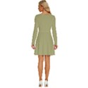 Weeping Willow Green	 - 	Long Sleeve Wide Neck Velvet Dress View4