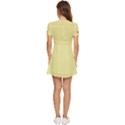 Yellow Iris	 - 	V-Neck High Waist Chiffon Mini Dress View4