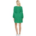 Spanish Green	 - 	Tiered Long Sleeve Mini Dress View2