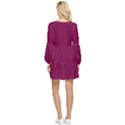 Plum Pie	 - 	Tiered Long Sleeve Mini Dress View2