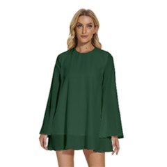 Eden Green	 - 	round Neck Long Sleeve Bohemian Style Chiffon Mini Dress