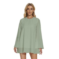 Laurel Green	 - 	round Neck Long Sleeve Bohemian Style Chiffon Mini Dress