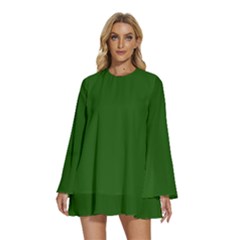 Lincoln Green	 - 	round Neck Long Sleeve Bohemian Style Chiffon Mini Dress