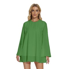 May Green	 - 	round Neck Long Sleeve Bohemian Style Chiffon Mini Dress