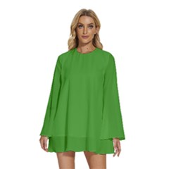 Spring Green	 - 	round Neck Long Sleeve Bohemian Style Chiffon Mini Dress