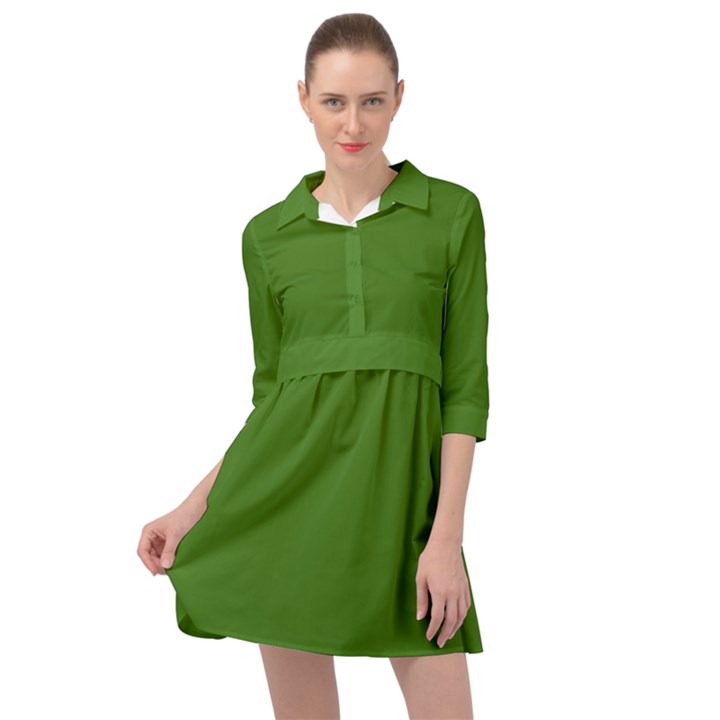 Light Seaweed Green	 - 	Mini Skater Shirt Dress