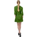 Light Seaweed Green	 - 	Mini Skater Shirt Dress View2