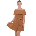 Cider Orange	 - 	Off Shoulder Velour Dress View1