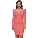 Coral Essence	 - 	Long Sleeve Ruched Stretch Jersey Dress View1