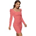 Coral Essence	 - 	Long Sleeve Ruched Stretch Jersey Dress View2