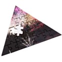 Firework Wooden Puzzle Triangle View3