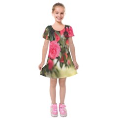 Flower Kids  Short Sleeve Velvet Dress by artworkshop