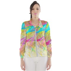 Abstract-14 Women s Windbreaker by nateshop