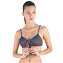 Sky gradient Tie Up Cut Bikini Top View1