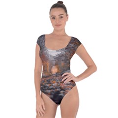 Breathe In Nature Background Short Sleeve Leotard  by artworkshop