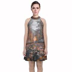 Breathe In Nature Background Velvet Halter Neckline Dress  by artworkshop