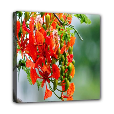 Gathering Sping Flowers Wallpapers Mini Canvas 8  X 8  (stretched) by artworkshop