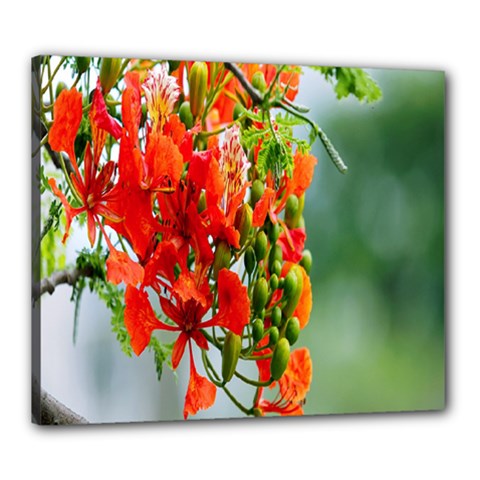 Gathering Sping Flowers Wallpapers Canvas 24  X 20  (stretched)