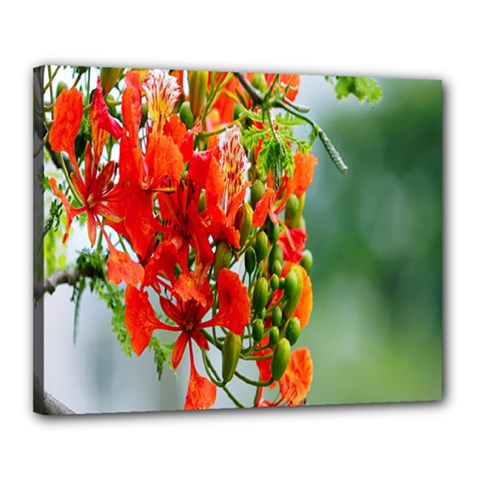 Gathering Sping Flowers Wallpapers Canvas 20  X 16  (stretched) by artworkshop