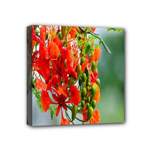 Gathering Sping Flowers Wallpapers Mini Canvas 4  X 4  (stretched) by artworkshop