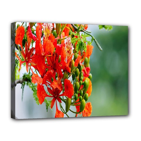 Gathering Sping Flowers Wallpapers Canvas 14  X 11  (stretched) by artworkshop