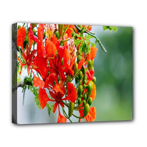 Gathering Sping Flowers Wallpapers Deluxe Canvas 20  X 16  (stretched) by artworkshop