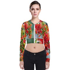 Gathering Sping Flowers Wallpapers Long Sleeve Zip Up Bomber Jacket by artworkshop