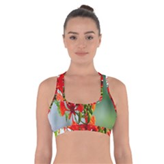 Gathering Sping Flowers Wallpapers Cross Back Sports Bra by artworkshop